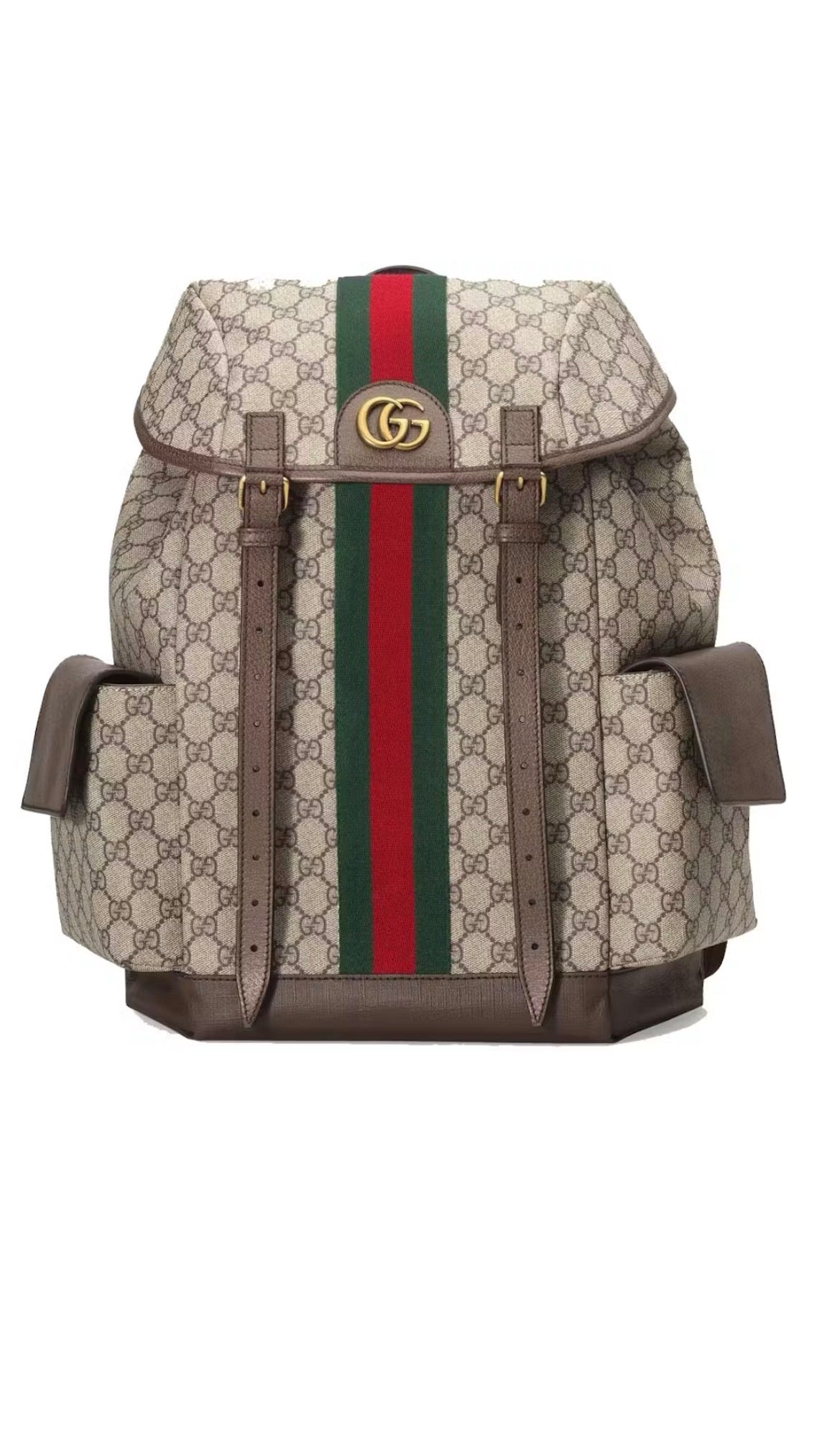 Gucci BookBag